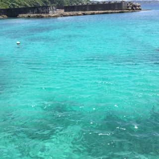 6月25日(日)マルヤ ガーデンズ  good day  Marketにてハーブティー出店