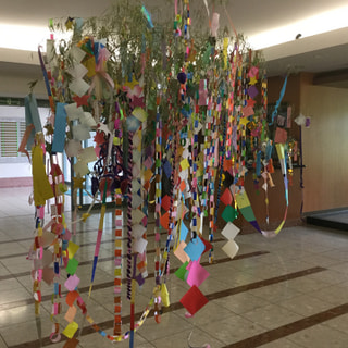 今日は七夕の日🎋